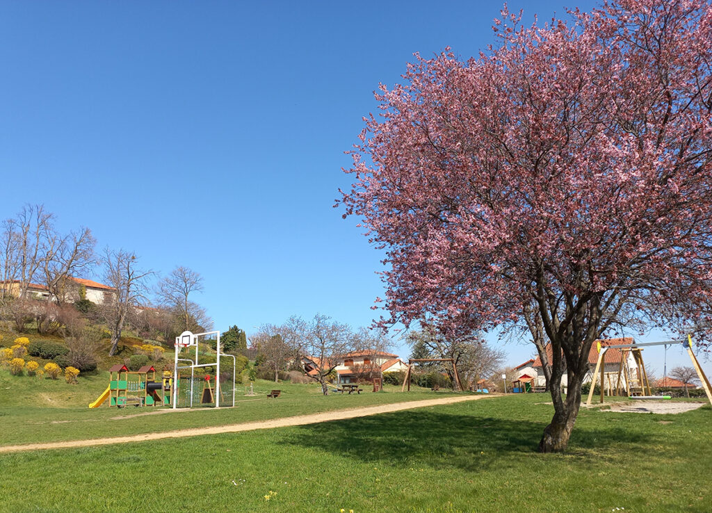Parc Léon Lepetit