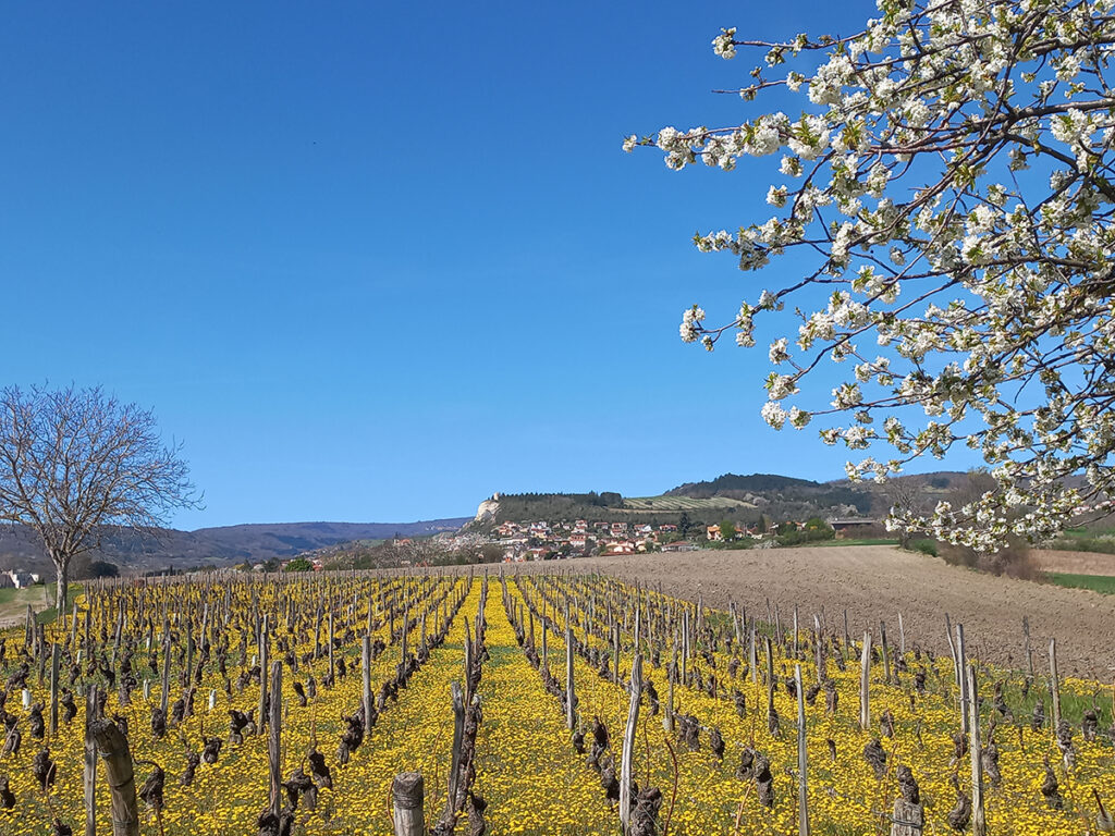 Vue de La Roche Blanche